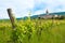 Church of the Holy Trinity, Hrastovlje, Slovenia.