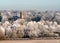 Church in the icy white Winter trees. Refuge or safety.