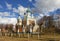 Church of the Intercession of the Mother of God in Marienburg. Gatchina. Leningrad region. Russia.