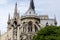 Church Notre Dame in Paris