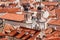 Church among red terra cotta tile roofs in the old town of Dubrovnik