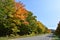 The Church Road in Autumn