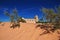 The church in the Sahara desert in the heart of Africa