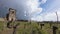 Church in Saint-Emilion Vineyard in winter-Bordeaux Vineyard-France, Timelapse