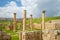 Church of Saints Cosmas and Damianus in jerash