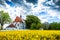 Church of st. Prokop near Temelin in summer day. Czech Republic