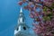 Church steeple framed by cherry blossoms in Lexington, Massachusetts, USA.