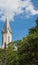 Church Steeple Over Trees in Savannah