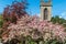 Church tower and belfry with spring blossom