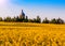 Church in yellow field