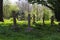 Churchyard of Anglican Holy Trinity Church in Old Wolverton, Mil