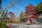 Chureito pagoda in the morning, Japan in autumn