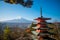 Chureito pagoda and Mount Fuji in the morning, Japan in autumn