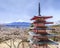 Chureito Pagoda and sakura view with Mt.fuji Background