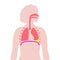 Chylothorax anatomical poster