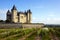 ChÃ¢teau de Saumur with vineyards in foreground