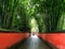 ChÃ©ngdÅ« wÇ” hÃ³u cÃ­, hÃ³ng qiÃ¡ng yÇ” zhÃºlÃ­n. 12/5000 Chengdu Wuhou Temple, red wall and bamboo forest.