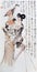 ChÃ©ng ShÃ­fÃ  Cheng Shifa Modern Chinese Painting Ethnic Groups Watercolor Brush Calligraphy Arts Scrolls Sketch Freehand Drawing