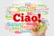 Ciao Hello Greeting in Italian word cloud