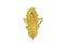 A cicada crust on white background