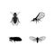 Cicada logo vector icon template