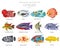 Cichlids fish. Freshwater aquarium fish icon set flat style isolated on white