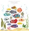 Cichlids fish. Freshwater aquarium fish icon set flat style isolated on white