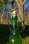 Cider bottle with crystal glass embedded face down on neck