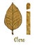 Cigar claro wrapper leaf color type