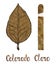 Cigar Colorado claro wrapper leaf color type