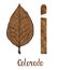 Cigar Colorado wrapper leaf color type