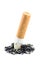 Cigarette Ash Macro Isolated