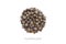 Cilantro coriander seed shape circle