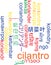 Cilantro multilanguage wordcloud background concept