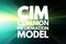 CIM - Common Information Model acronym, concept background