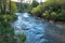 Cimarron River flows through Cimarron Canyon State Park