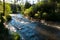 Cimarron River flows through Cimarron Canyon State Park