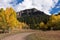 Cimarrona Campground road within San Juan National Forest, Colorado.