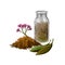 Cinchona bark digital art illustration. Blooming flowers and green leaves, bottle withdry herbs. Jesuits Bark, cinchona Peruvian