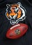 Cincinnati bengals