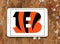 Cincinnati Bengals american football team logo