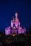 Cinderella disney castle night view