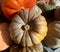 Cinderella Pumpkin Surrounded by a variety of other pumpkins