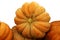 Cinderella Pumpkin White BG