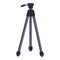 Cinema tripod icon, cartoon style