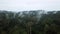 Cinemagraph Aerial of Tropical Rainforest Dipterocarp Tree Forest on Borneo Island