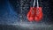 Cinemagraph of red boxing gloves on a water drops background. Sport lifestyle. Motivation. Goal achievement. Protect yourself.