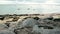Cinemagraph seamless loop of puddle at Pointe de St-Pierre in Noirmoutier island, France
