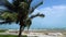 Cinemagraph of tropical seascape with high waves in windy weather