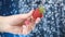 cinemagraph of a woman hand close up holding red strawberry under drops of water. Girl showing red strawberry
